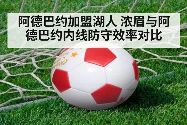 阿德巴约加盟湖人 浓眉与阿德巴约内线防守效率对比