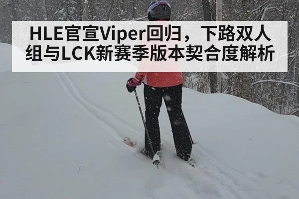 HLE官宣Viper回归，下路双人组与LCK新赛季版本契合度解析